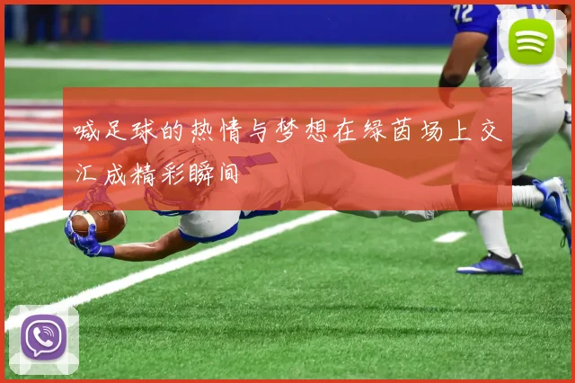 喊足球的热情与梦想在绿茵场上交汇成精彩瞬间