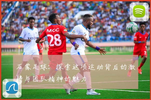 石蒙足球：探索这项运动背后的激情与团队精神的魅力