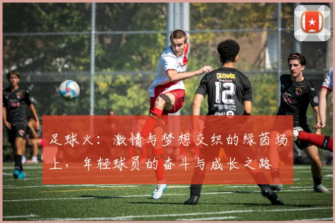 足球火：激情与梦想交织的绿茵场上，年轻球员的奋斗与成长之路